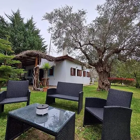 Case de vacanță Bill's Garden