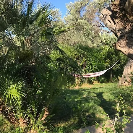 Bill's Garden * Kálamos