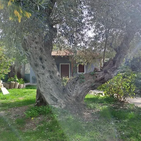 Σπίτι διακοπών Bill's Garden *