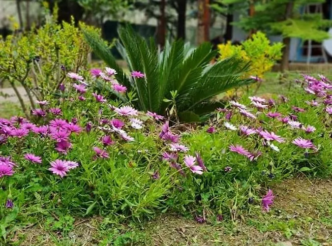 Bill's Garden Σπίτι διακοπών