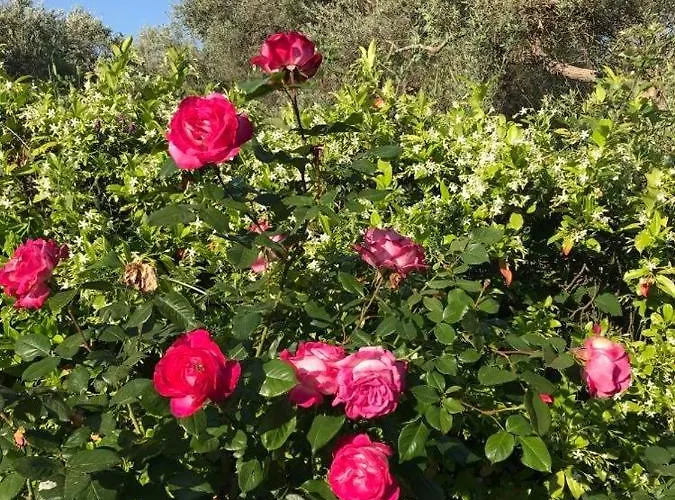 Σπίτι διακοπών Bill's Garden Κάλαμος