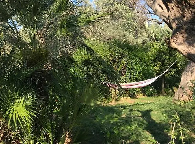 Bill's Garden * Κάλαμος