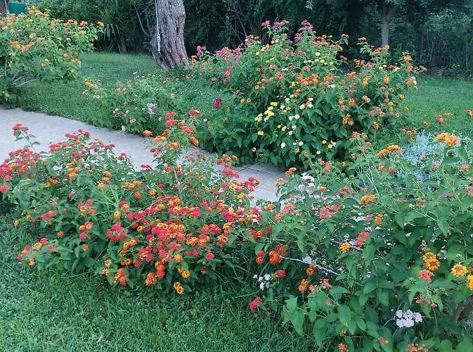 Bill's Garden * Κάλαμος