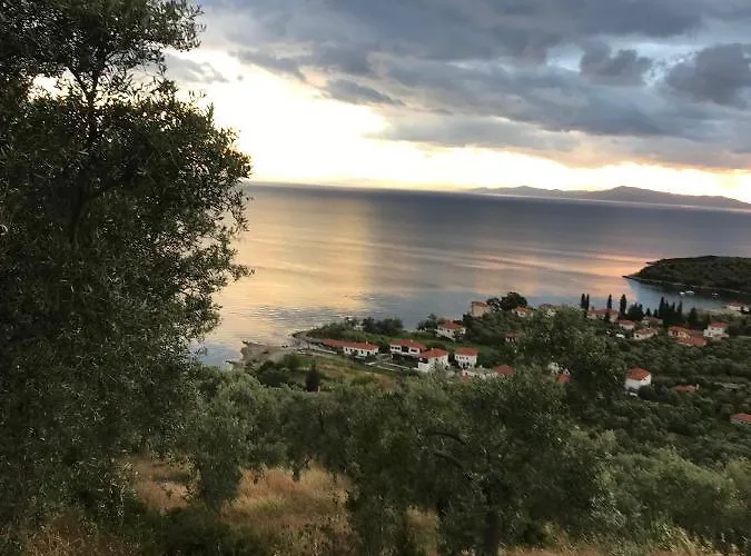 Bill's Garden Κάλαμος