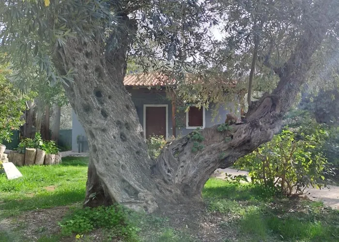 Σπίτι διακοπών Bill's Garden *