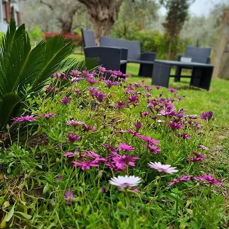 Bill's Garden *