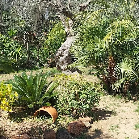 Bill's Garden