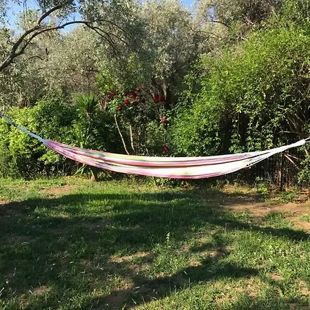 Bill's Garden