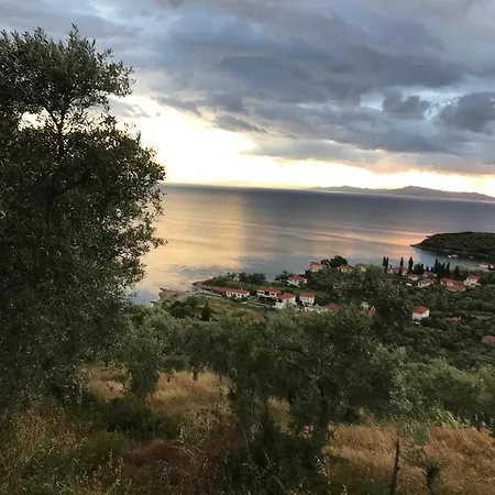 Bill's Garden Kalamos (Thessaly)