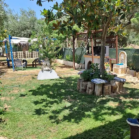 Bill's Garden *