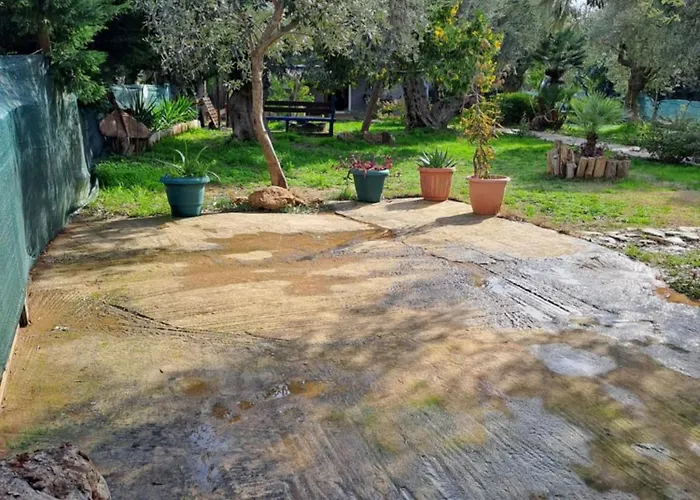 Nyaraló Bill's Garden Kálamosz